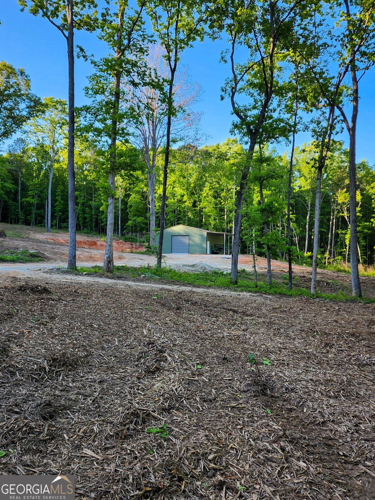 residential lot for sale at 1620 Cross Plains Hulett Road, Carrollton, GA 30116 — photo 4