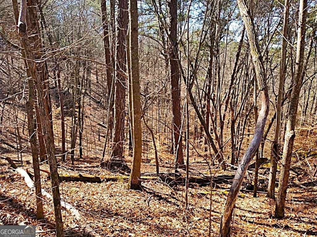 residential lot for sale at 0 Overlook Drive, Chatsworth, GA 30705 — photo 7