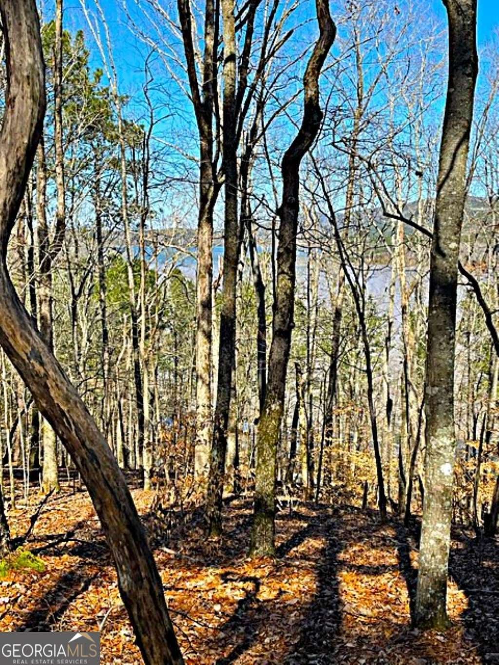 residential lot for sale at 0 Overlook Drive, Chatsworth, GA 30705 — photo 3
