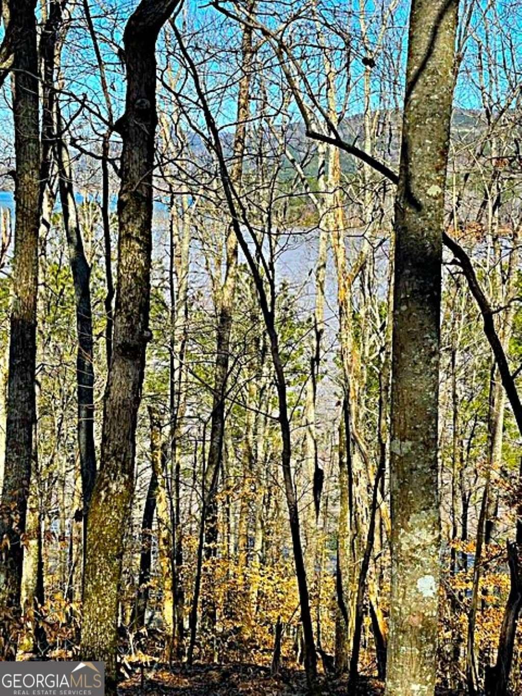 residential lot for sale at 0 Overlook Drive, Chatsworth, GA 30705 — photo 1 of 24