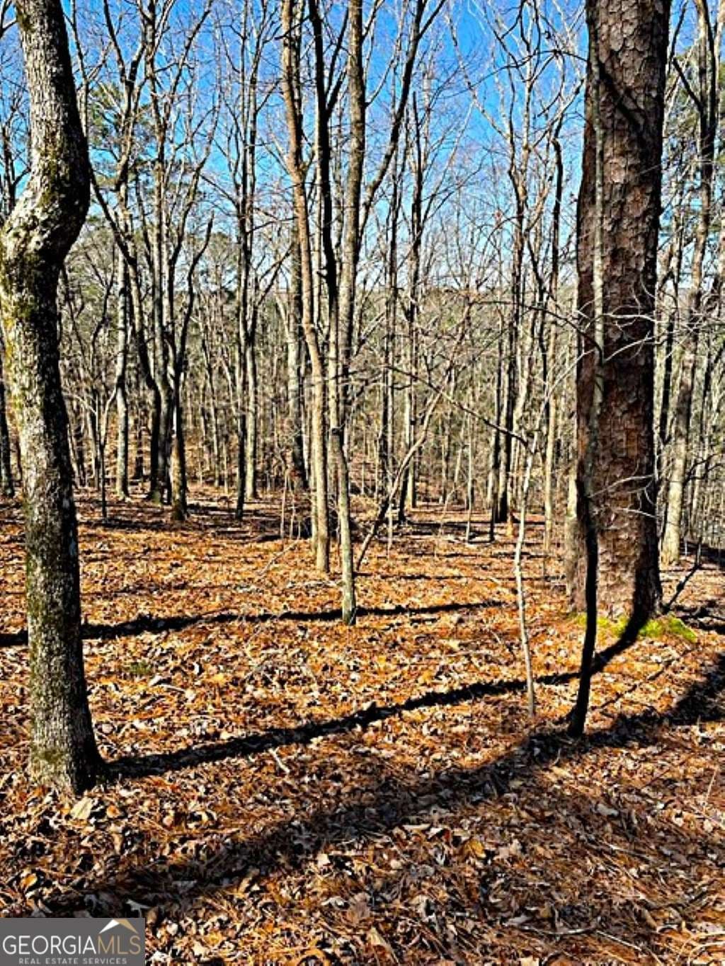 residential lot for sale at 0 Overlook Drive, Chatsworth, GA 30705 — photo 4