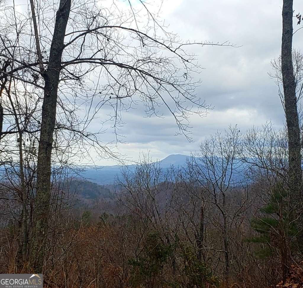 residential lot for sale at 0 Overlook Drive, Chatsworth, GA 30705 — photo 8
