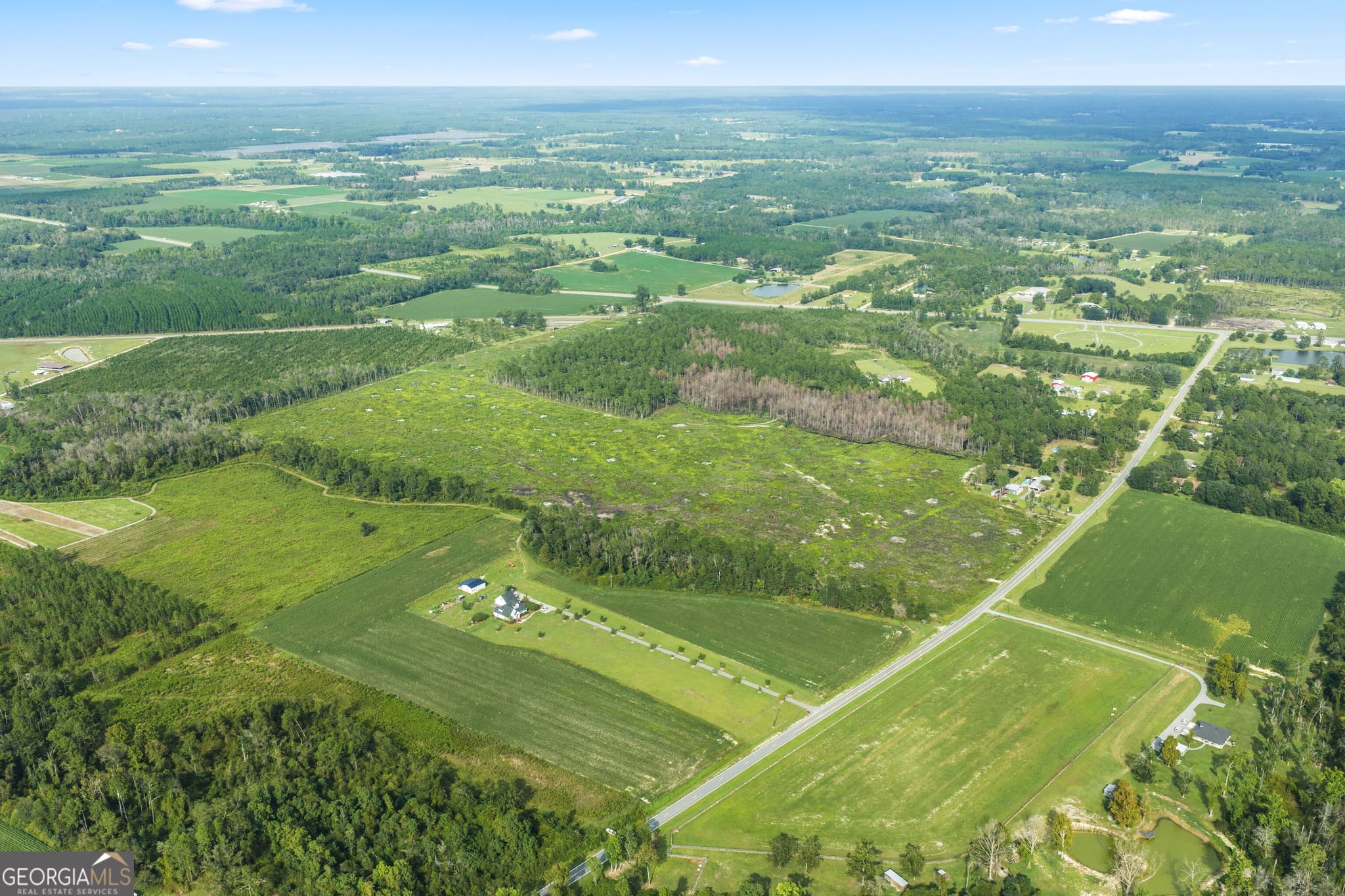 unimproved land for sale at 0 Sellers Road, Baxley, GA 31513 — photo 2