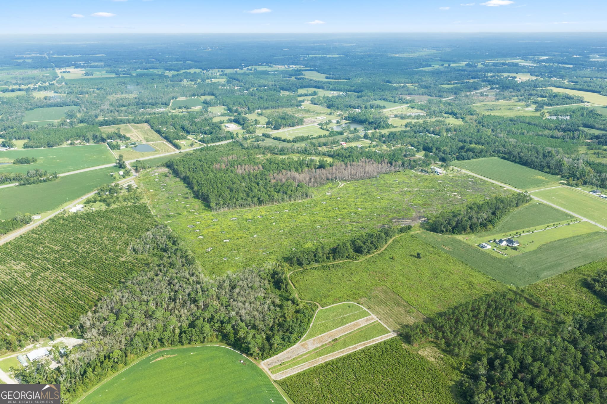 unimproved land for sale at 0 Sellers Road, Baxley, GA 31513 — photo 6