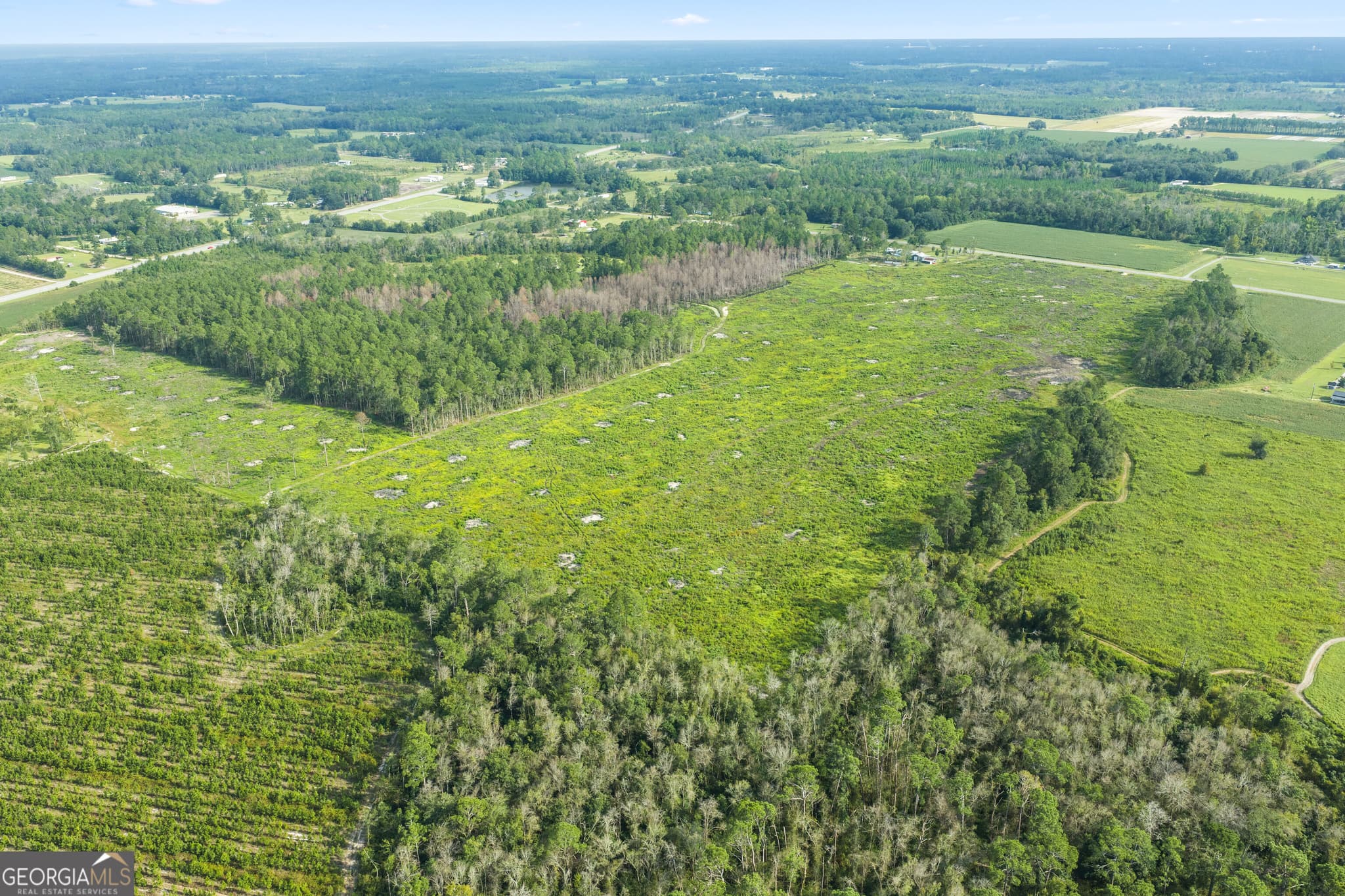 unimproved land for sale at 0 Sellers Road, Baxley, GA 31513 — photo 7