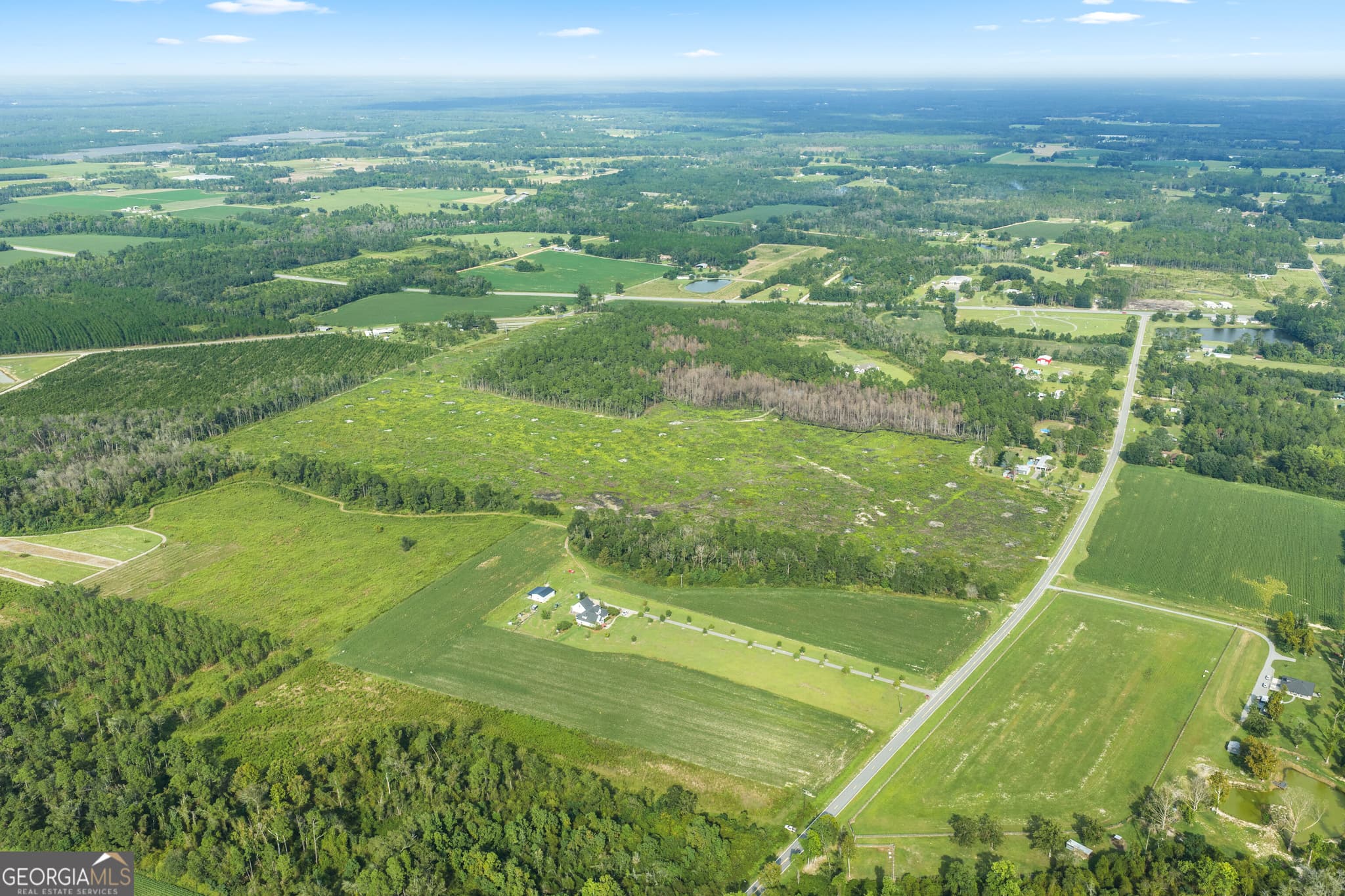 unimproved land for sale at 0 Sellers Road, Baxley, GA 31513 — photo 3