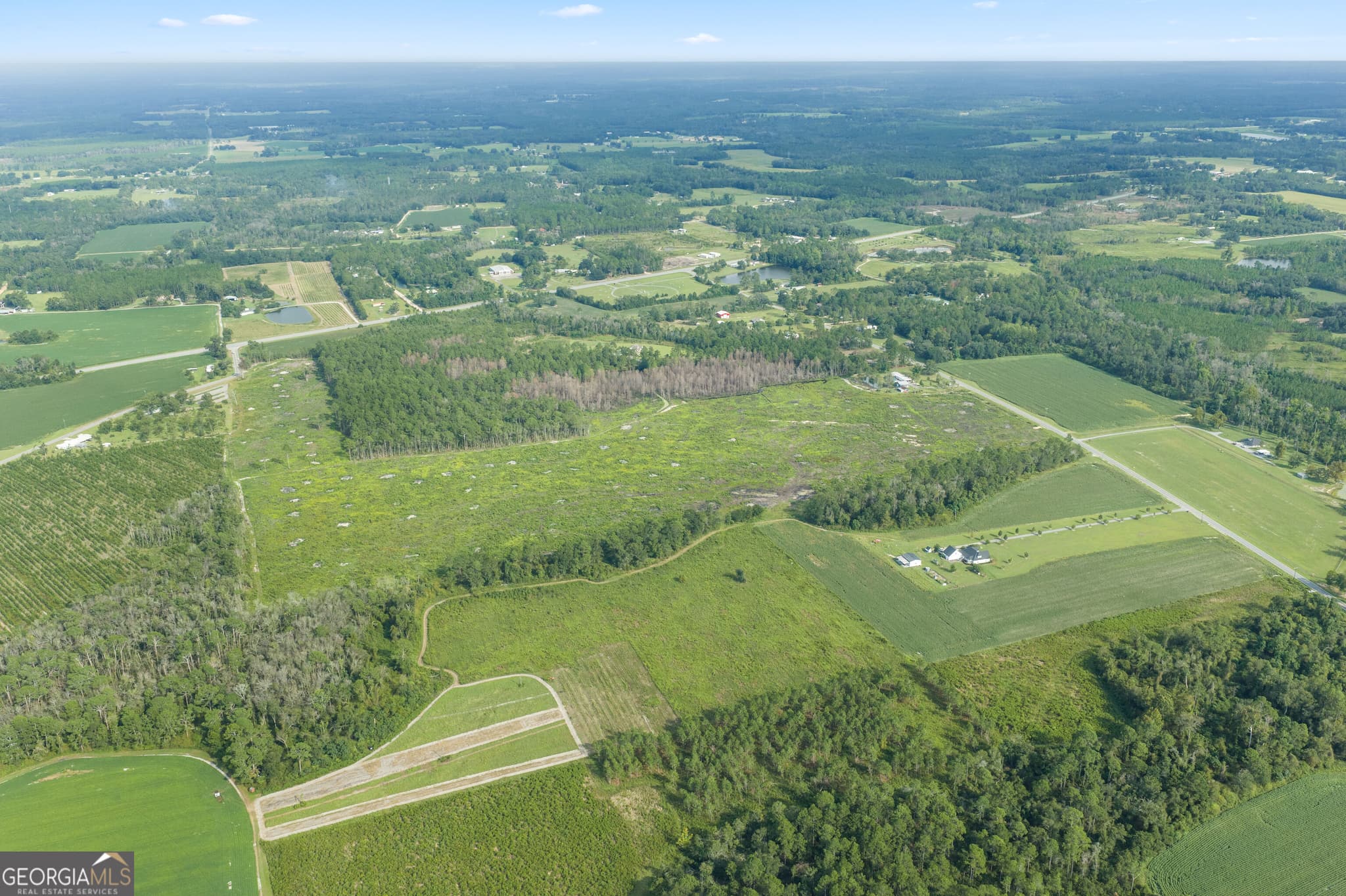 unimproved land for sale at 0 Sellers Road, Baxley, GA 31513 — photo 5