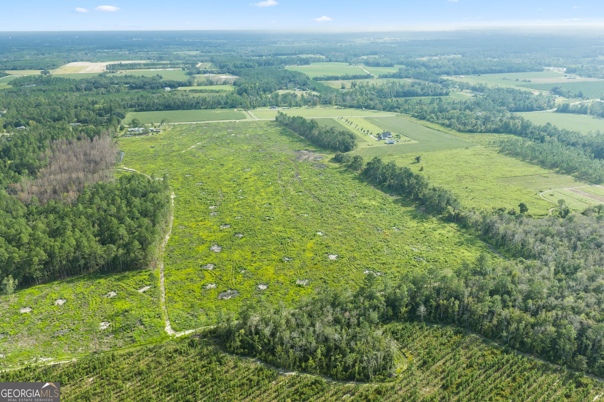 unimproved land for sale at 0 Sellers Road, Baxley, GA 31513 — photo 9