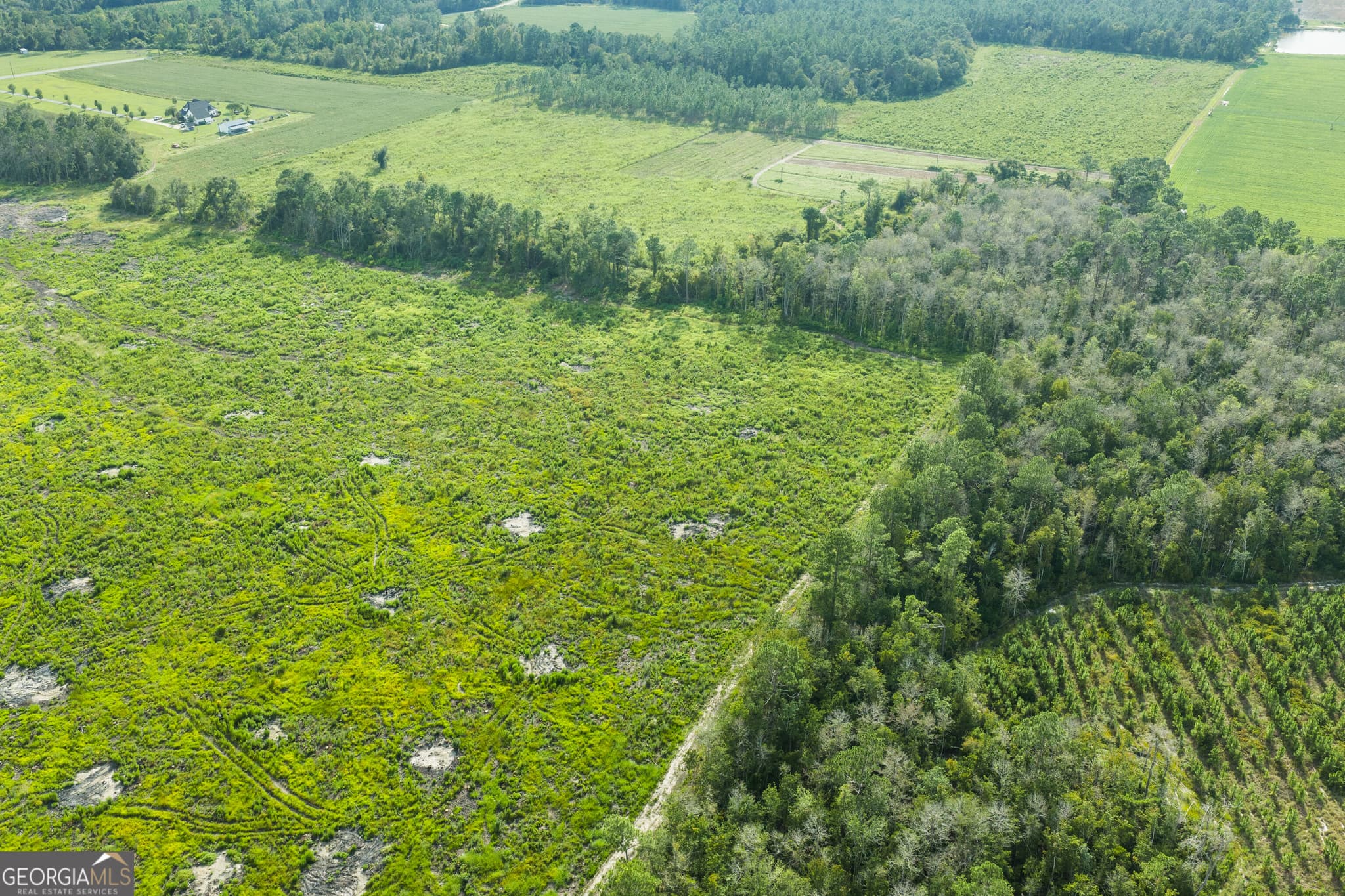 unimproved land for sale at 0 Sellers Road, Baxley, GA 31513 — photo 10