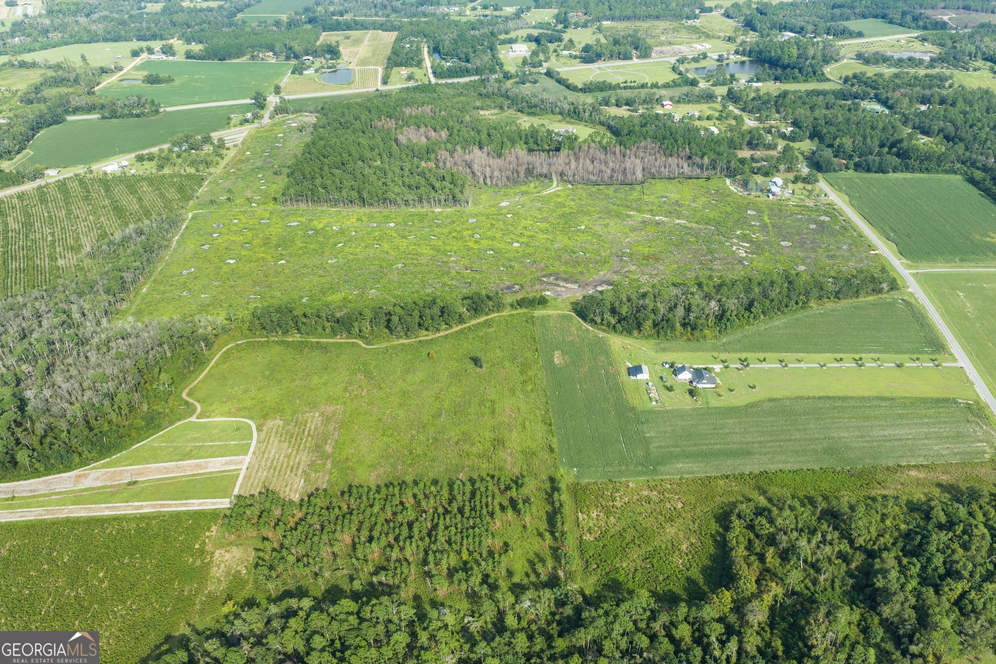 unimproved land for sale at 0 Sellers Road, Baxley, GA 31513 — photo 4