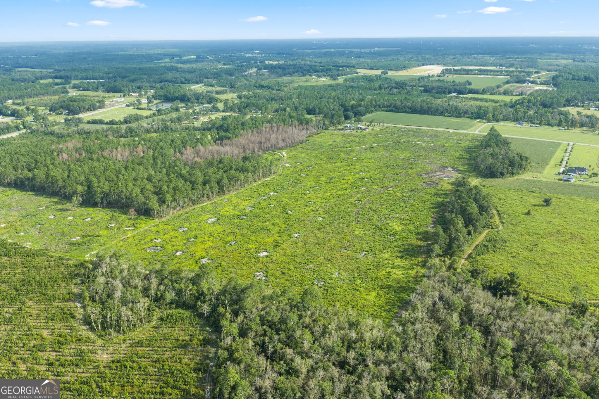 unimproved land for sale at 0 Sellers Road, Baxley, GA 31513 — photo 8