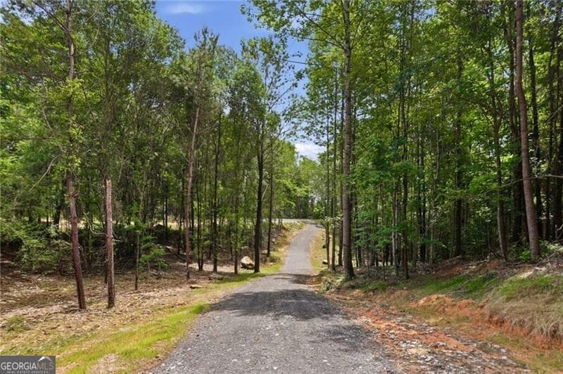 unimproved land for sale at LOT 1 Pete Path, Dallas, GA 30157 — photo 2