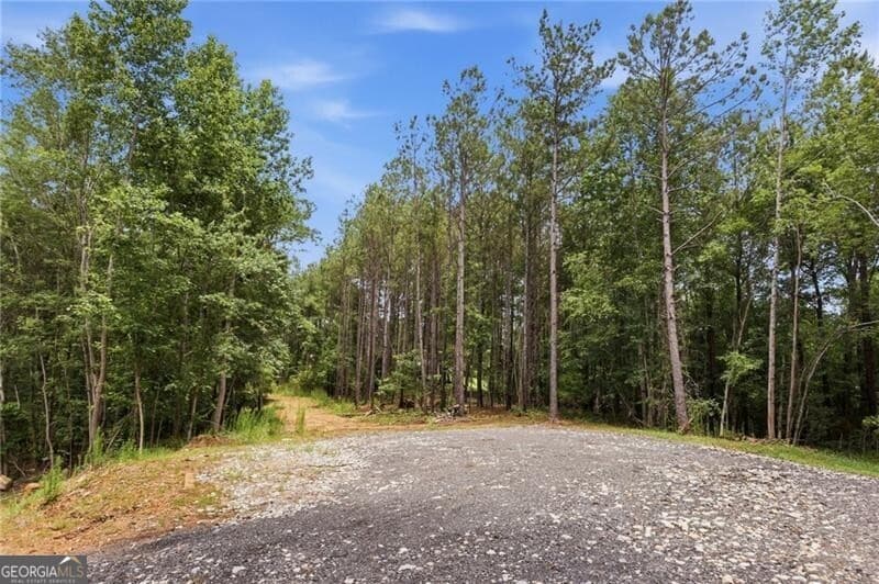 unimproved land for sale at LOT 1 Pete Path, Dallas, GA 30157 — photo 6