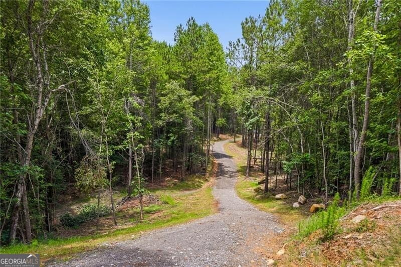 unimproved land for sale at LOT 1 Pete Path, Dallas, GA 30157 — photo 7