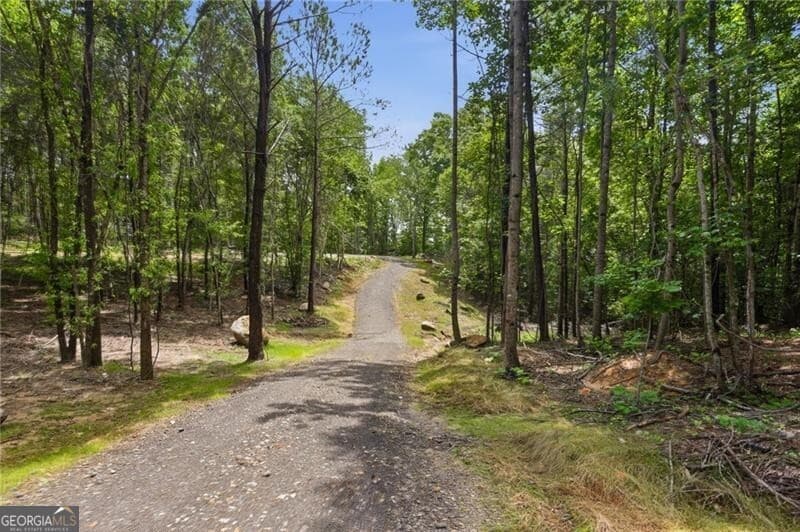 unimproved land for sale at LOT 1 Pete Path, Dallas, GA 30157 — photo 3
