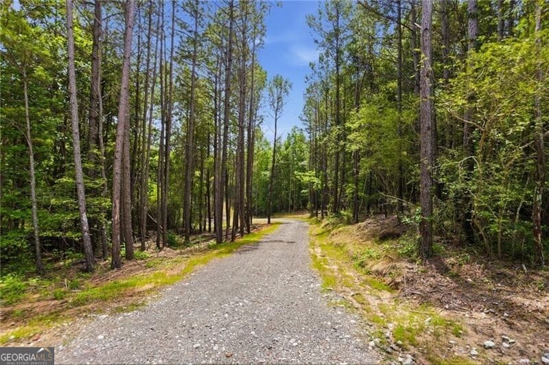 unimproved land for sale at LOT 1 Pete Path, Dallas, GA 30157 — photo 1 of 21