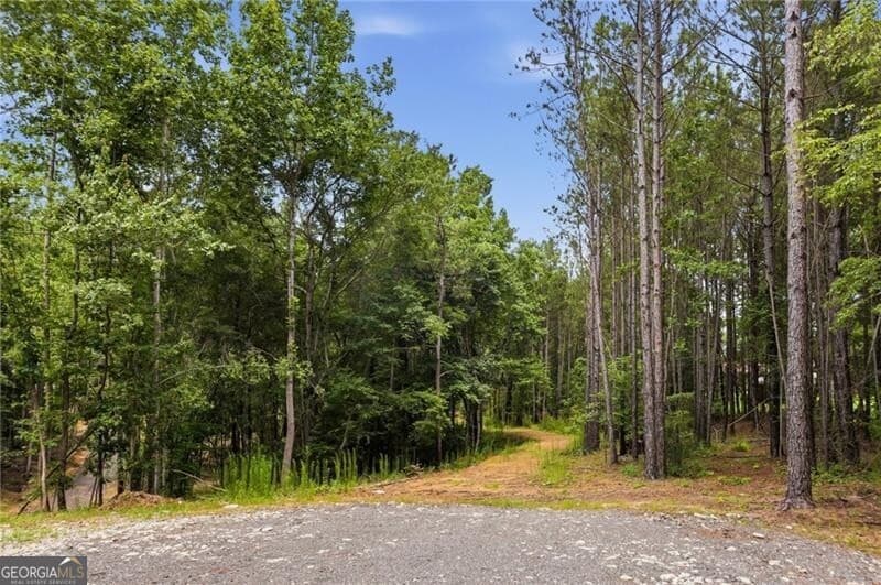 unimproved land for sale at LOT 1 Pete Path, Dallas, GA 30157 — photo 5