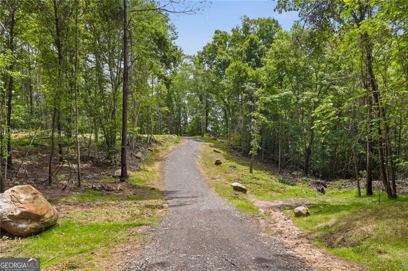 unimproved land for sale at LOT 1 Pete Path, Dallas, GA 30157 — photo 9