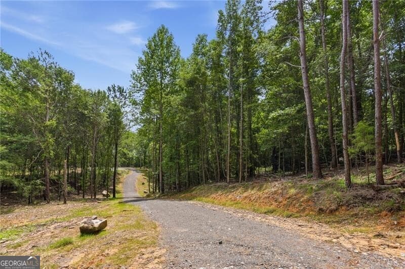 unimproved land for sale at LOT 1 Pete Path, Dallas, GA 30157 — photo 10
