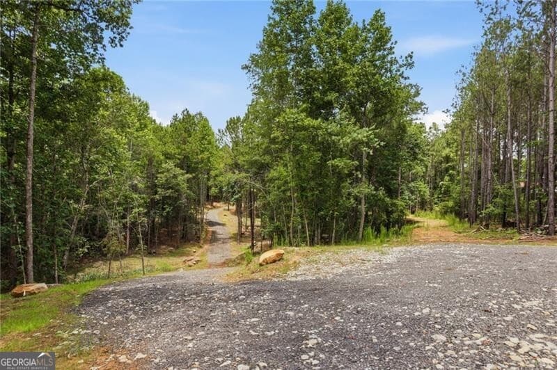 unimproved land for sale at LOT 1 Pete Path, Dallas, GA 30157 — photo 4