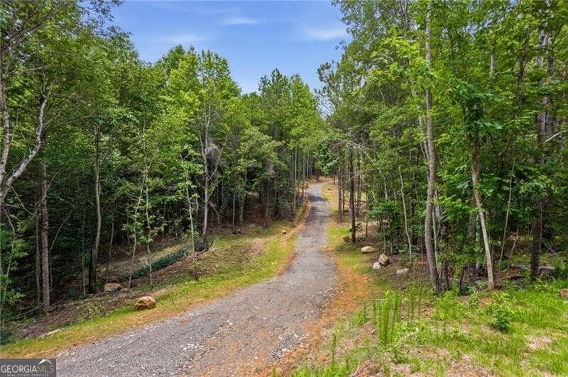 unimproved land for sale at LOT 1 Pete Path, Dallas, GA 30157 — photo 8