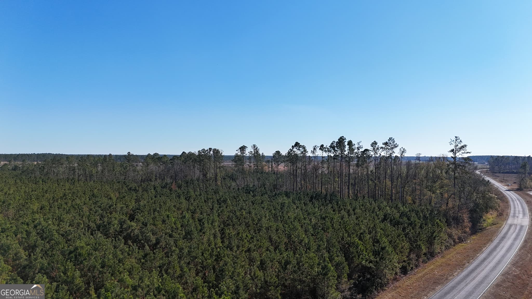 agriculture for sale at 0088 003A Pine Level Church Road, Hazlehurst, GA 31539 — photo 2