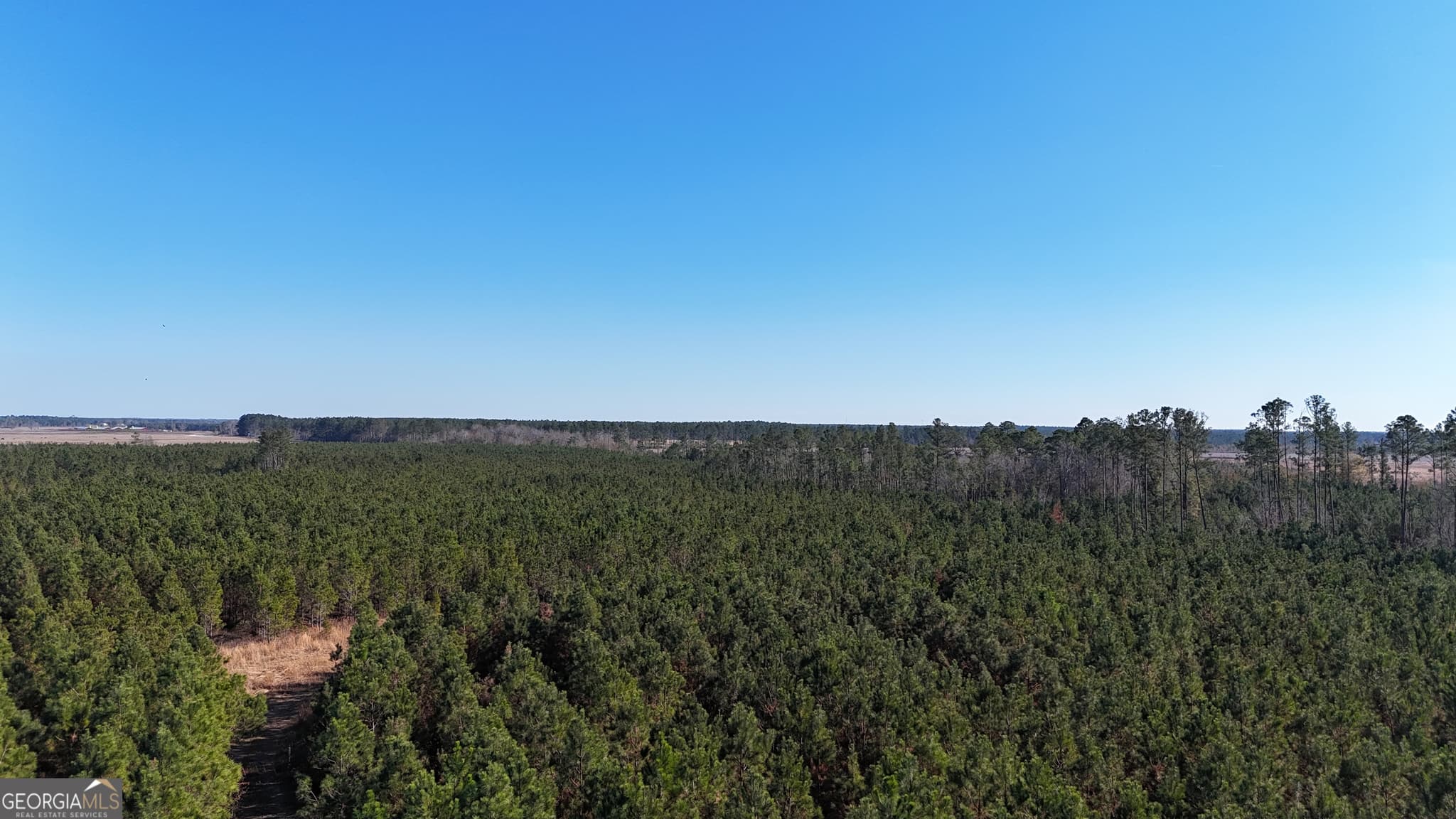 agriculture for sale at 0088 003A Pine Level Church Road, Hazlehurst, GA 31539 — photo 6