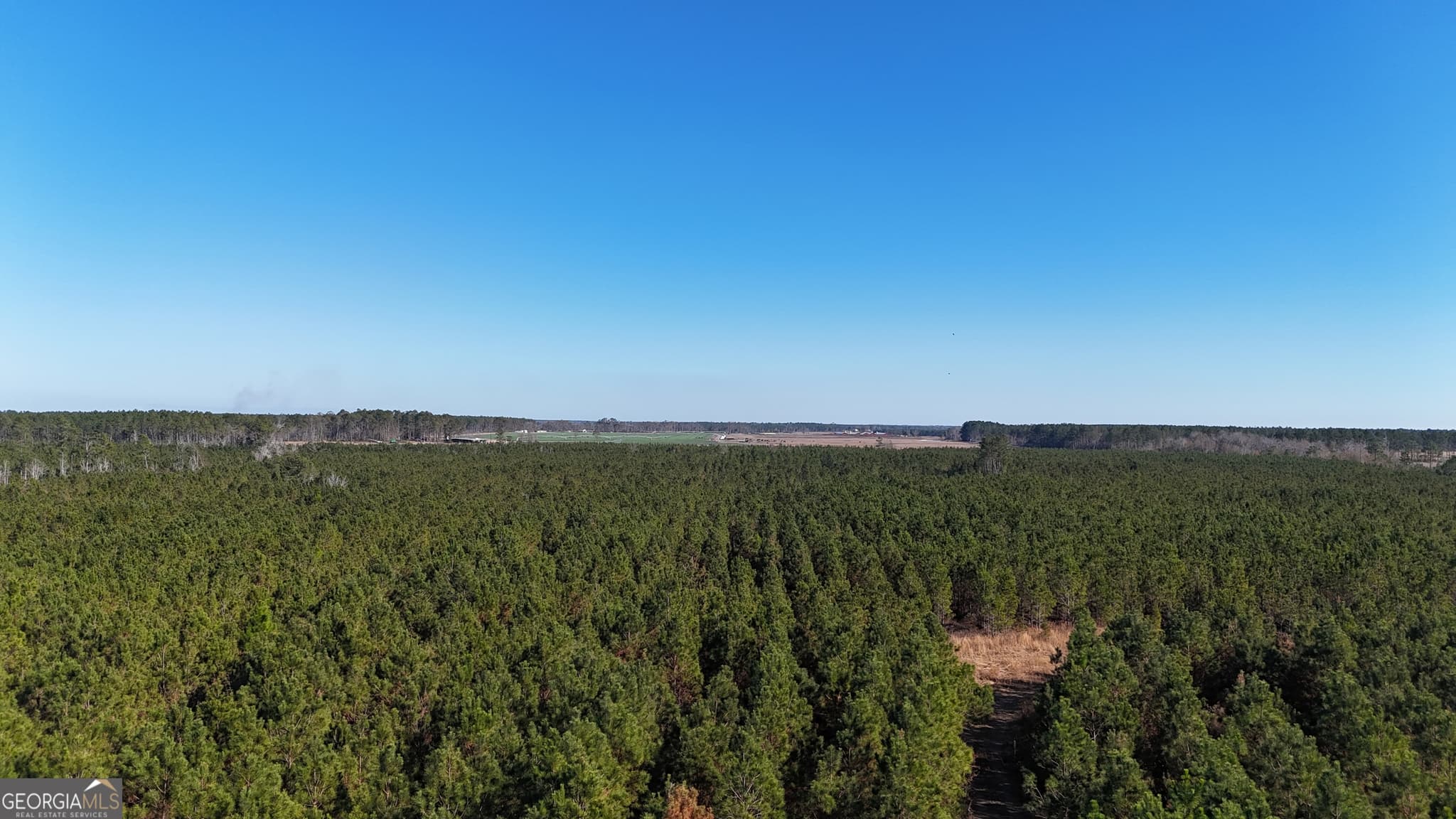 agriculture for sale at 0088 003A Pine Level Church Road, Hazlehurst, GA 31539 — photo 3