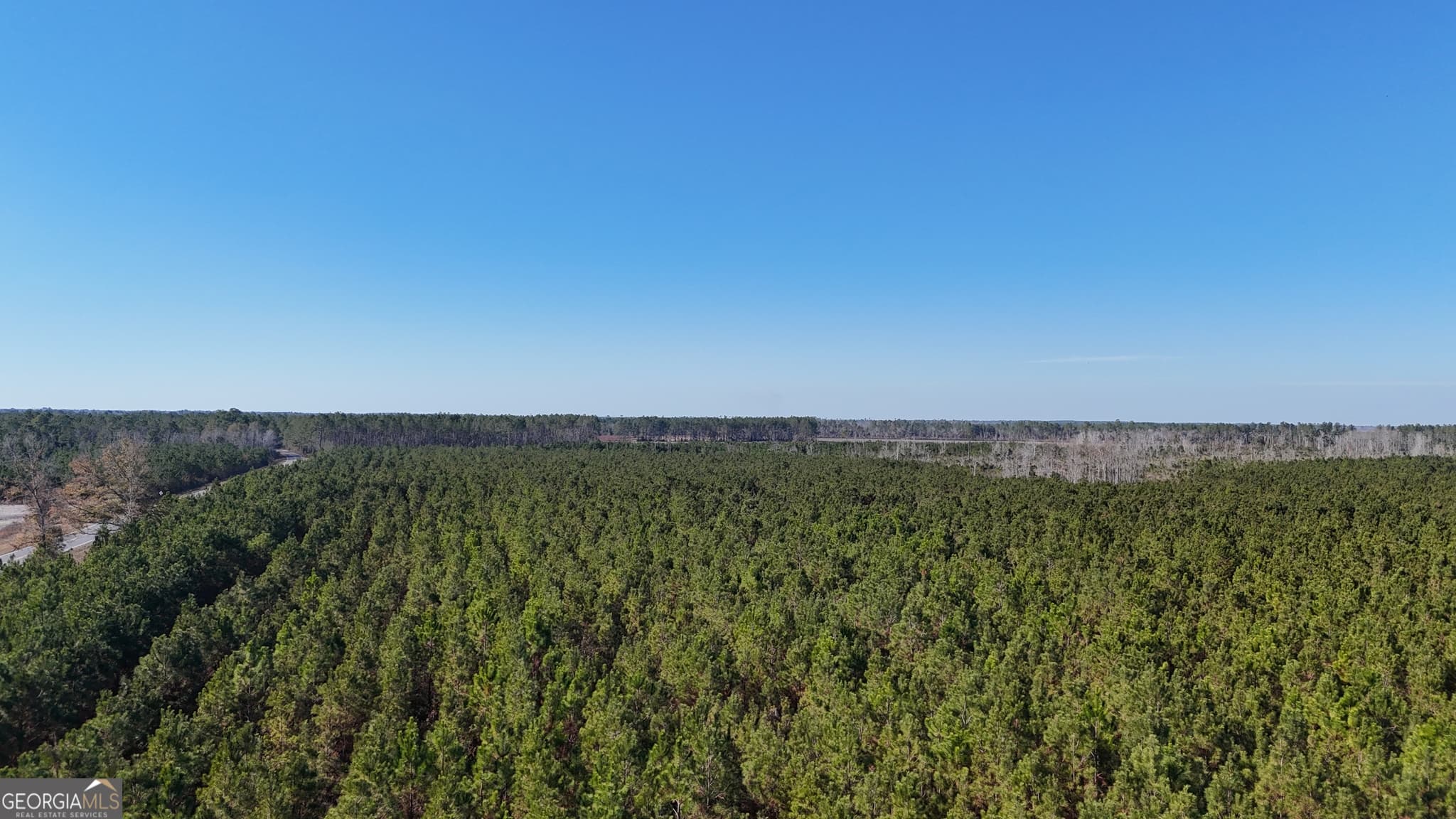 agriculture for sale at 0088 003A Pine Level Church Road, Hazlehurst, GA 31539 — photo 1 of 19