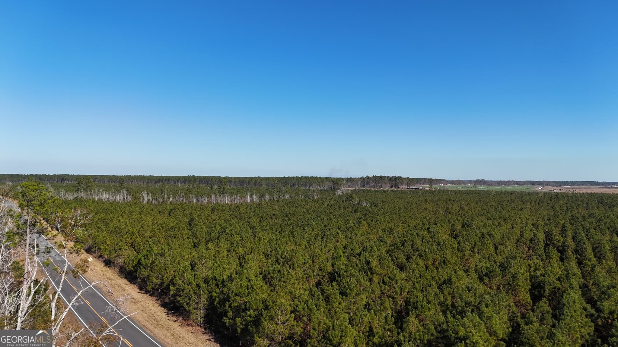 agriculture for sale at 0088 003A Pine Level Church Road, Hazlehurst, GA 31539 — photo 5