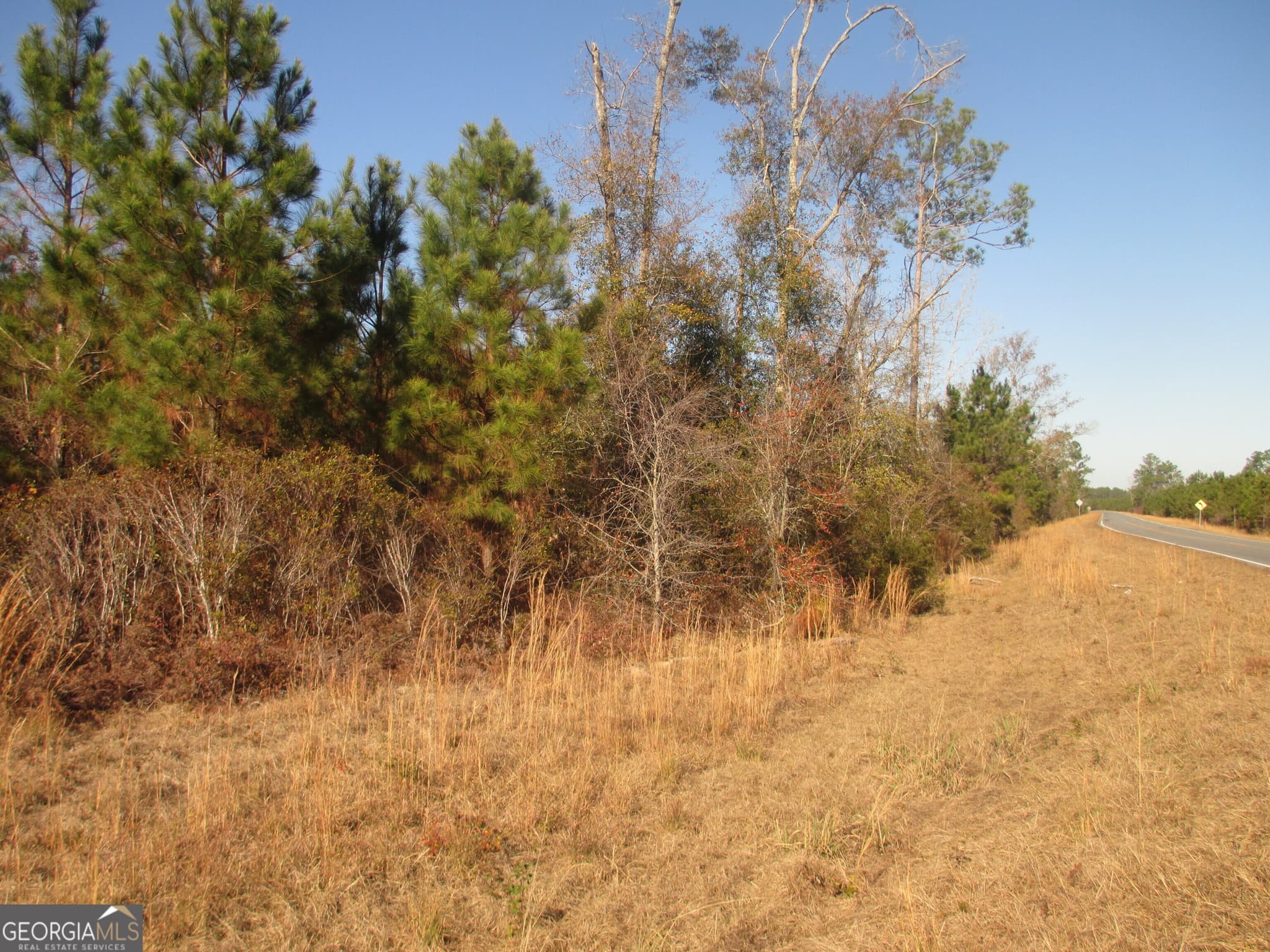 agriculture for sale at 0088 003A Pine Level Church Road, Hazlehurst, GA 31539 — photo 9