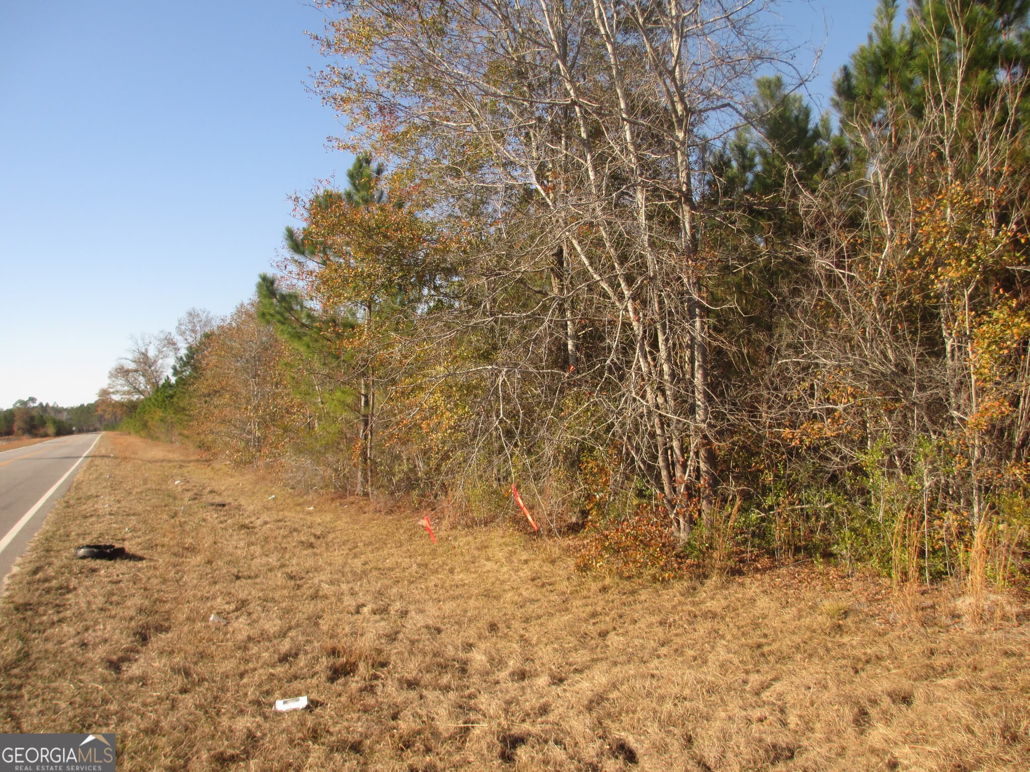agriculture for sale at 0088 003A Pine Level Church Road, Hazlehurst, GA 31539 — photo 10