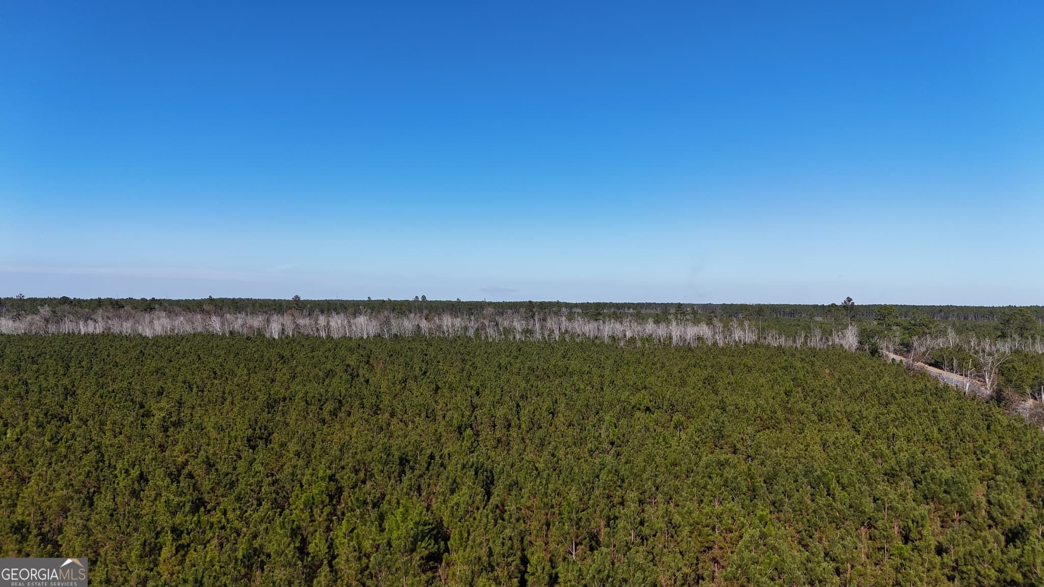 agriculture for sale at 0088 003A Pine Level Church Road, Hazlehurst, GA 31539 — photo 4