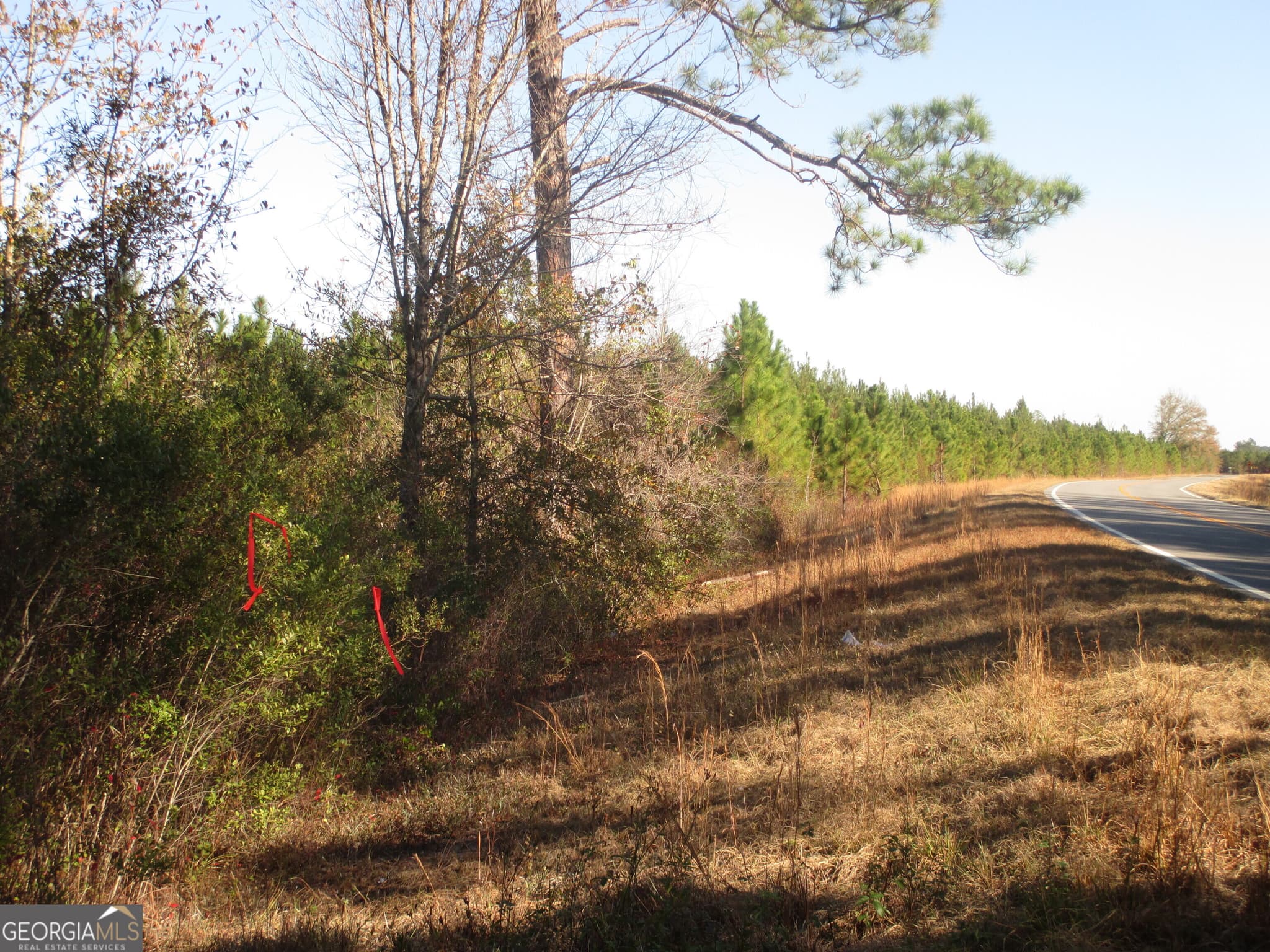 agriculture for sale at 0088 003A Pine Level Church Road, Hazlehurst, GA 31539 — photo 8