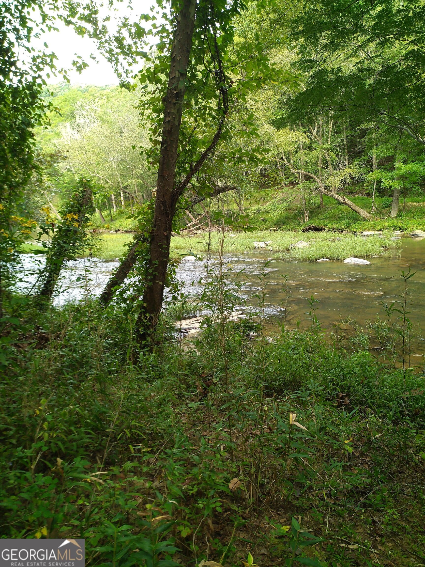 residential lot for sale at 0 Marie LOT 1800, Talking Rock, GA 30175 — photo 2