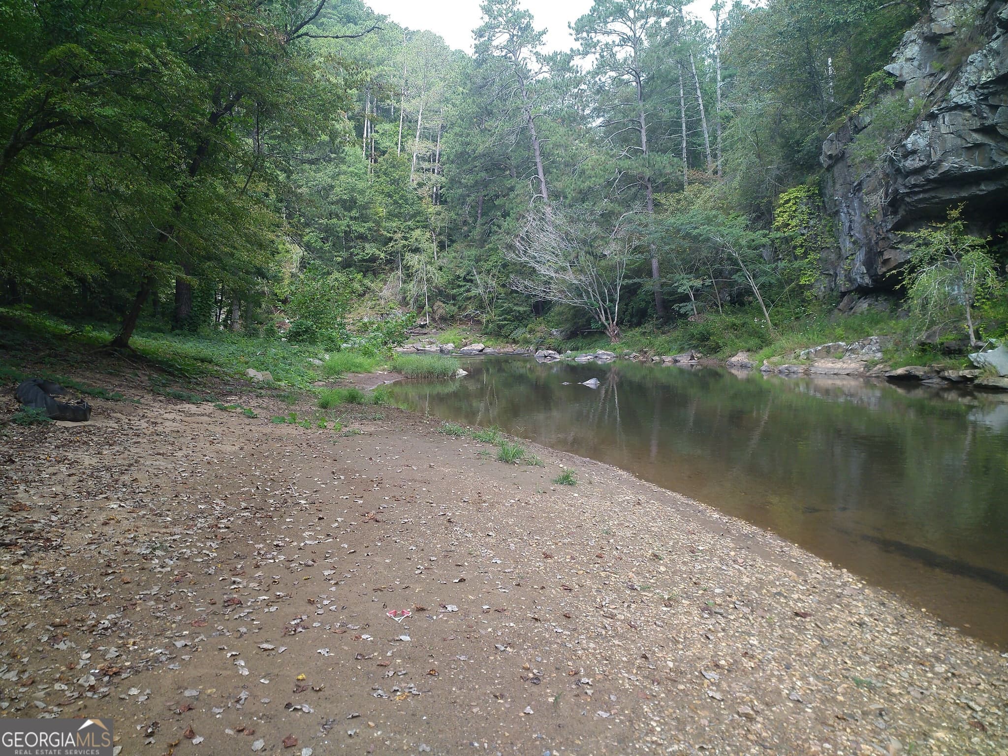 residential lot for sale at 0 Marie LOT 1800, Talking Rock, GA 30175 — photo 5