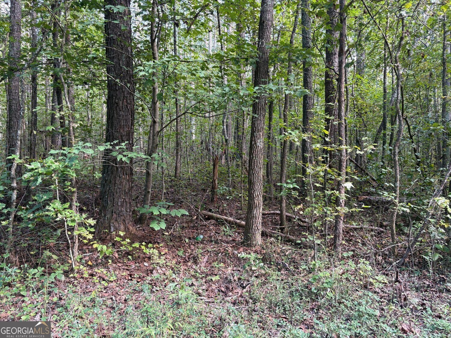 unimproved land for sale at 003 Bullock Farm Road, Dallas, GA 30157 — photo 6