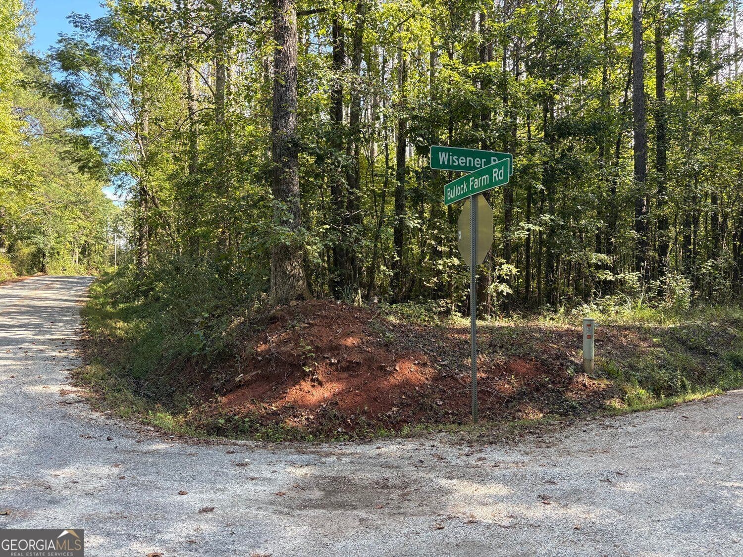 unimproved land for sale at 003 Bullock Farm Road, Dallas, GA 30157 — photo 7