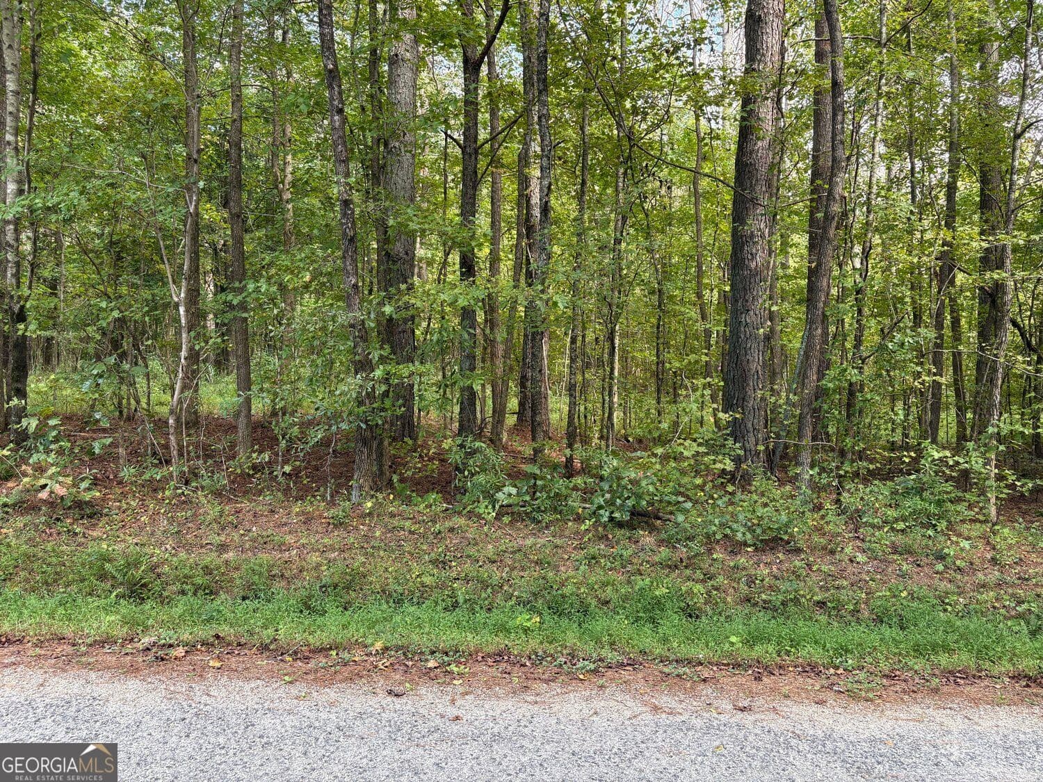 unimproved land for sale at 003 Bullock Farm Road, Dallas, GA 30157 — photo 5