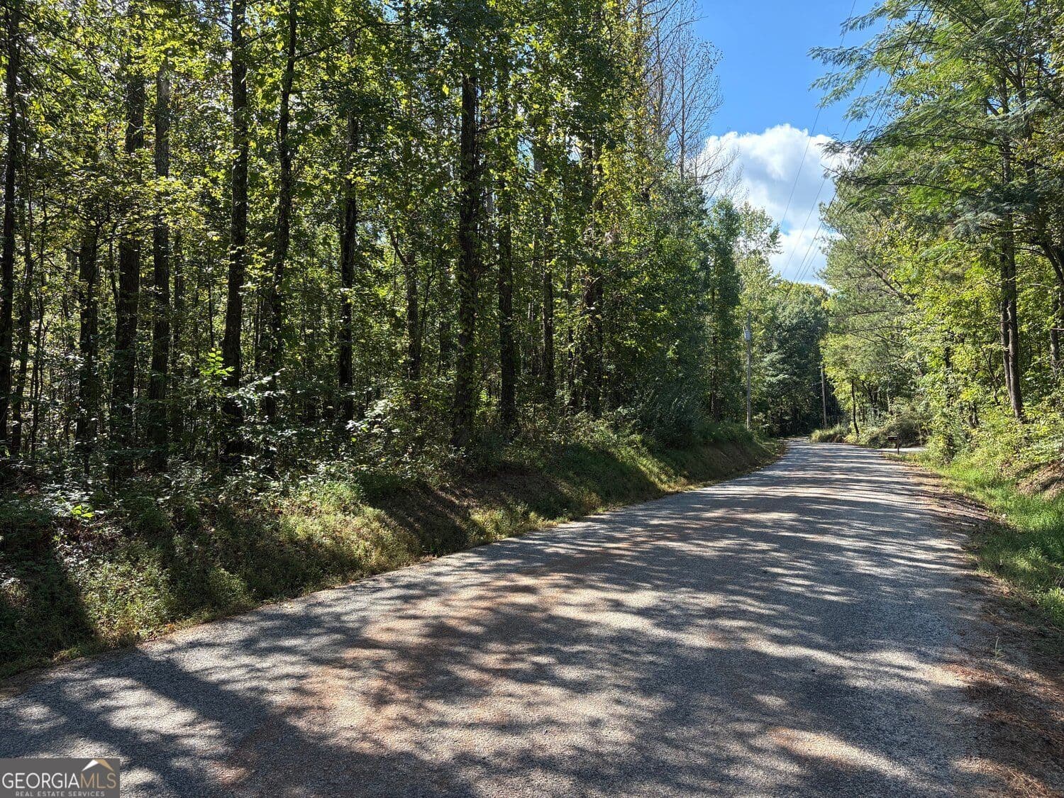 unimproved land for sale at 003 Bullock Farm Road, Dallas, GA 30157 — photo 9