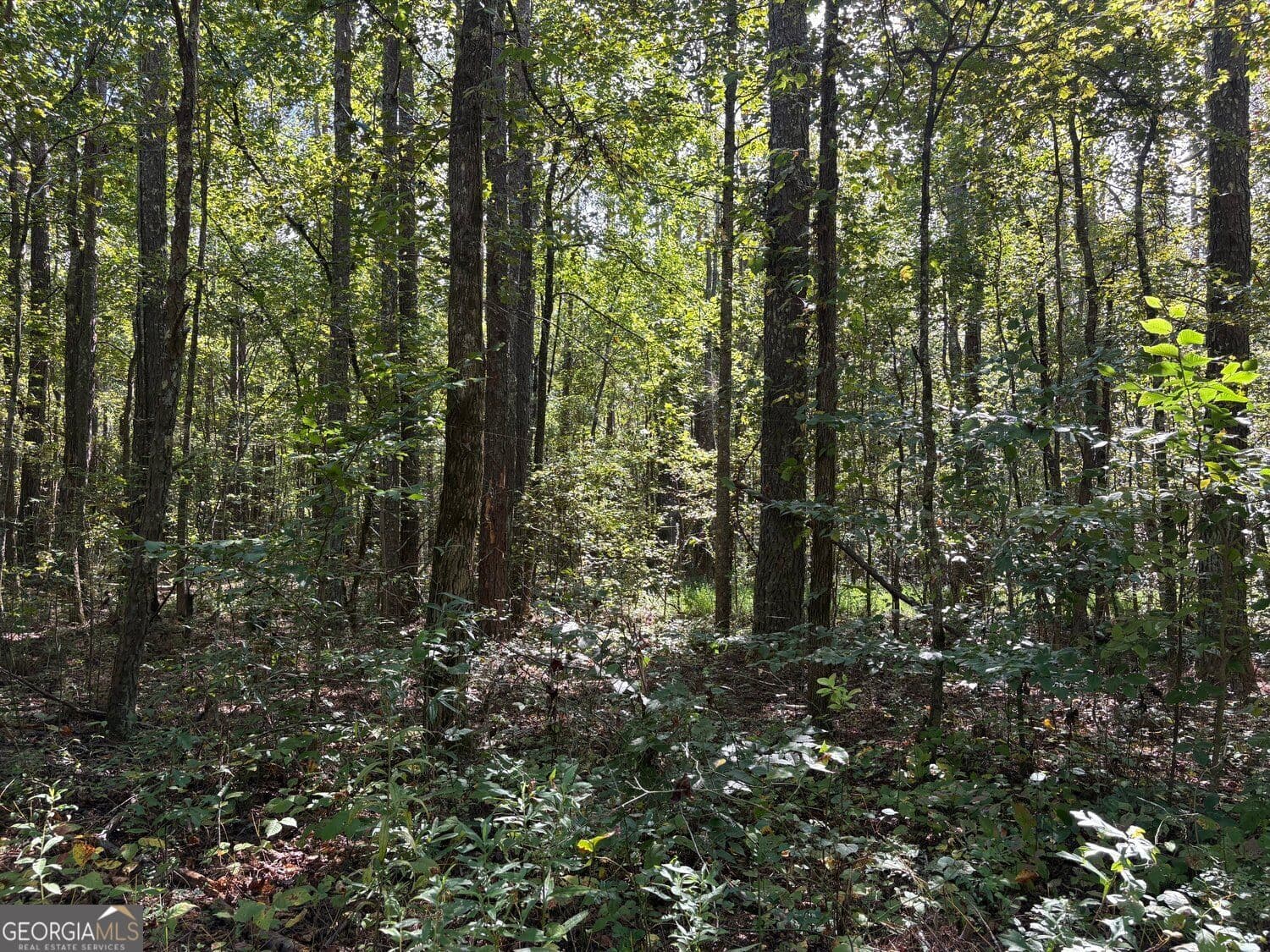 unimproved land for sale at 003 Bullock Farm Road, Dallas, GA 30157 — photo 10