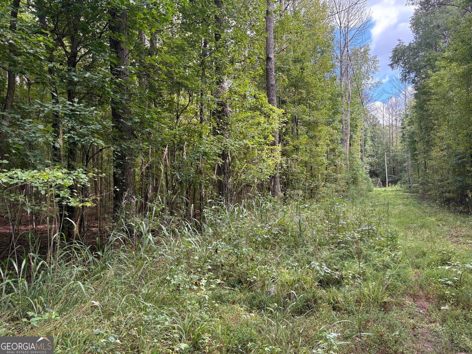 unimproved land for sale at 003 Bullock Farm Road, Dallas, GA 30157 — photo 4