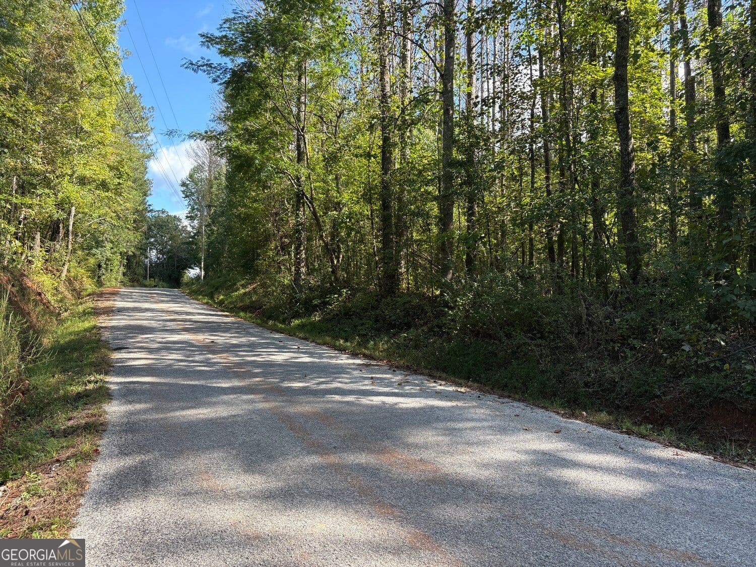 unimproved land for sale at 003 Bullock Farm Road, Dallas, GA 30157 — photo 8