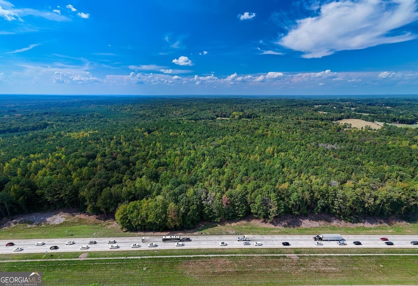 unimproved land for sale at 93.49 ACRES Forrest Road, Grantville, GA 30220 — photo 2
