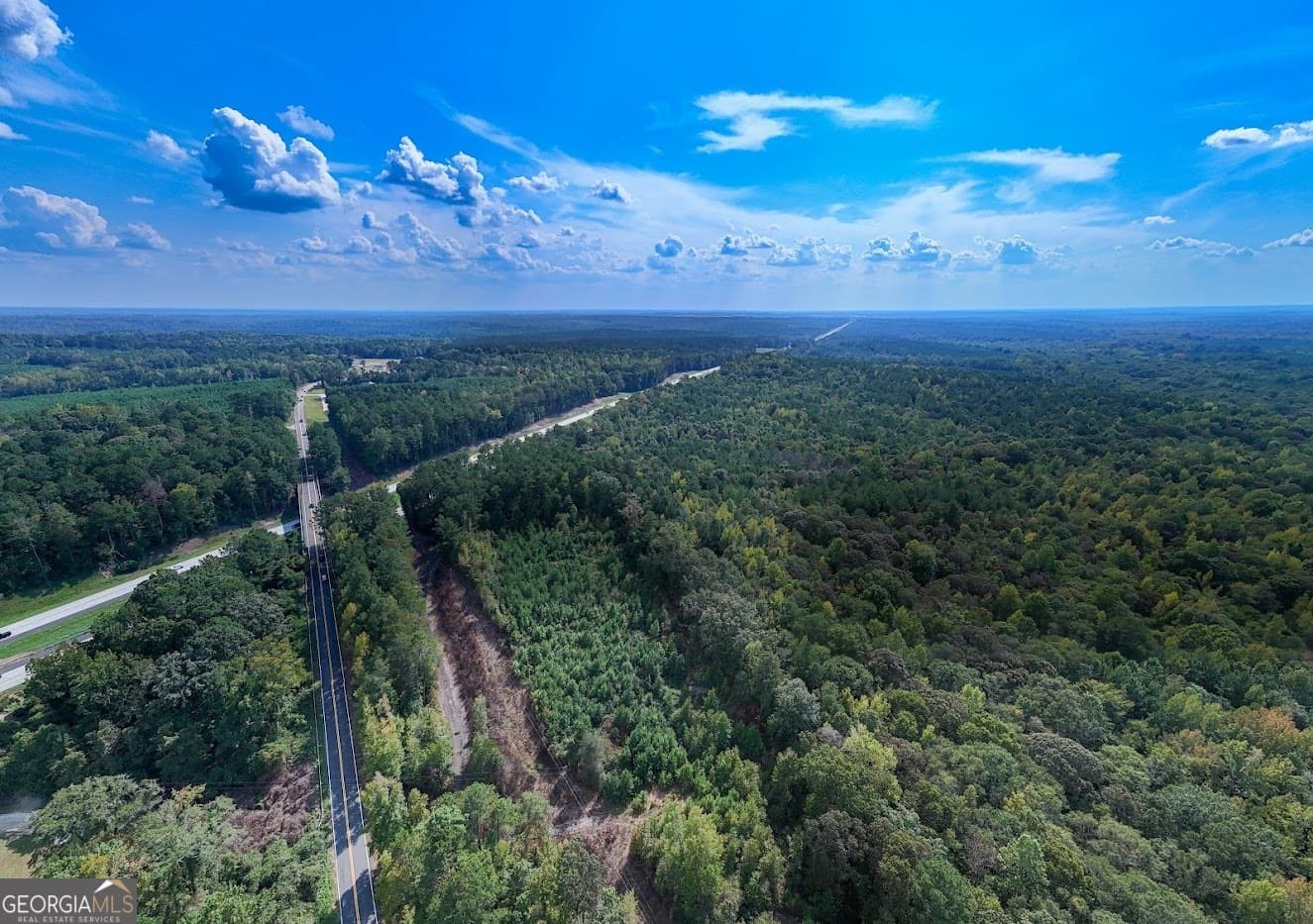 unimproved land for sale at 93.49 ACRES Forrest Road, Grantville, GA 30220 — photo 6