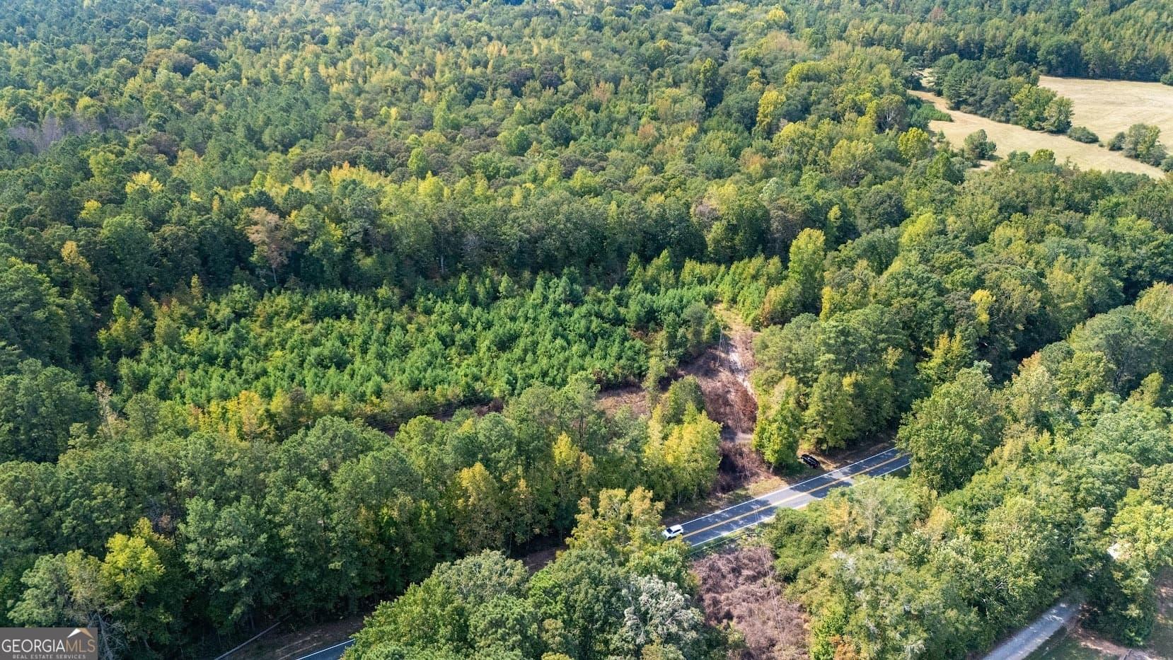 unimproved land for sale at 93.49 ACRES Forrest Road, Grantville, GA 30220 — photo 3