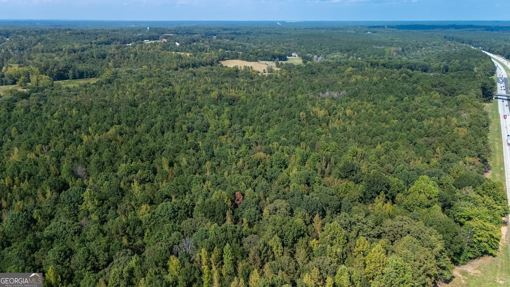 unimproved land for sale at 93.49 ACRES Forrest Road, Grantville, GA 30220 — photo 9