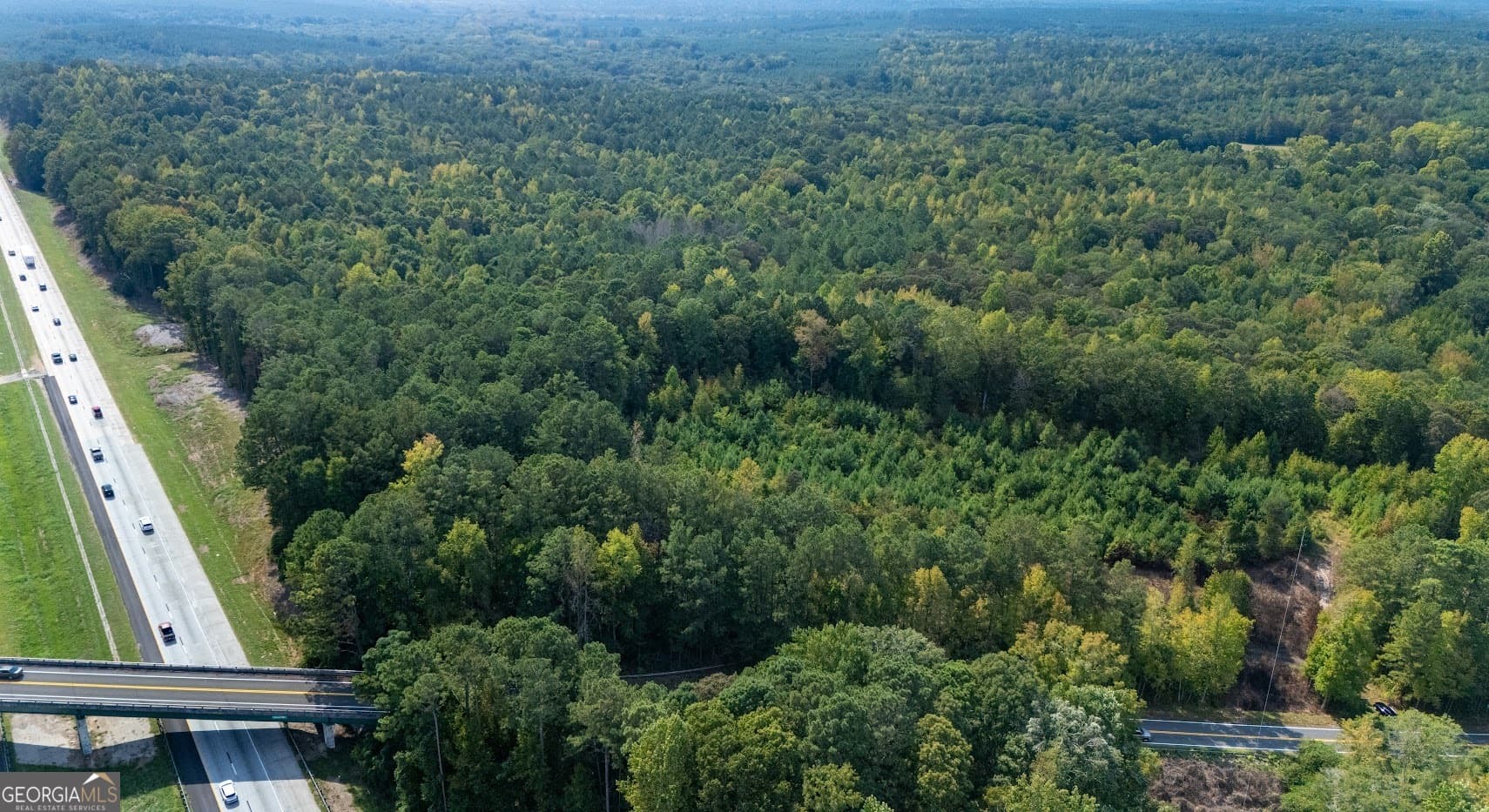 unimproved land for sale at 93.49 ACRES Forrest Road, Grantville, GA 30220 — photo 4