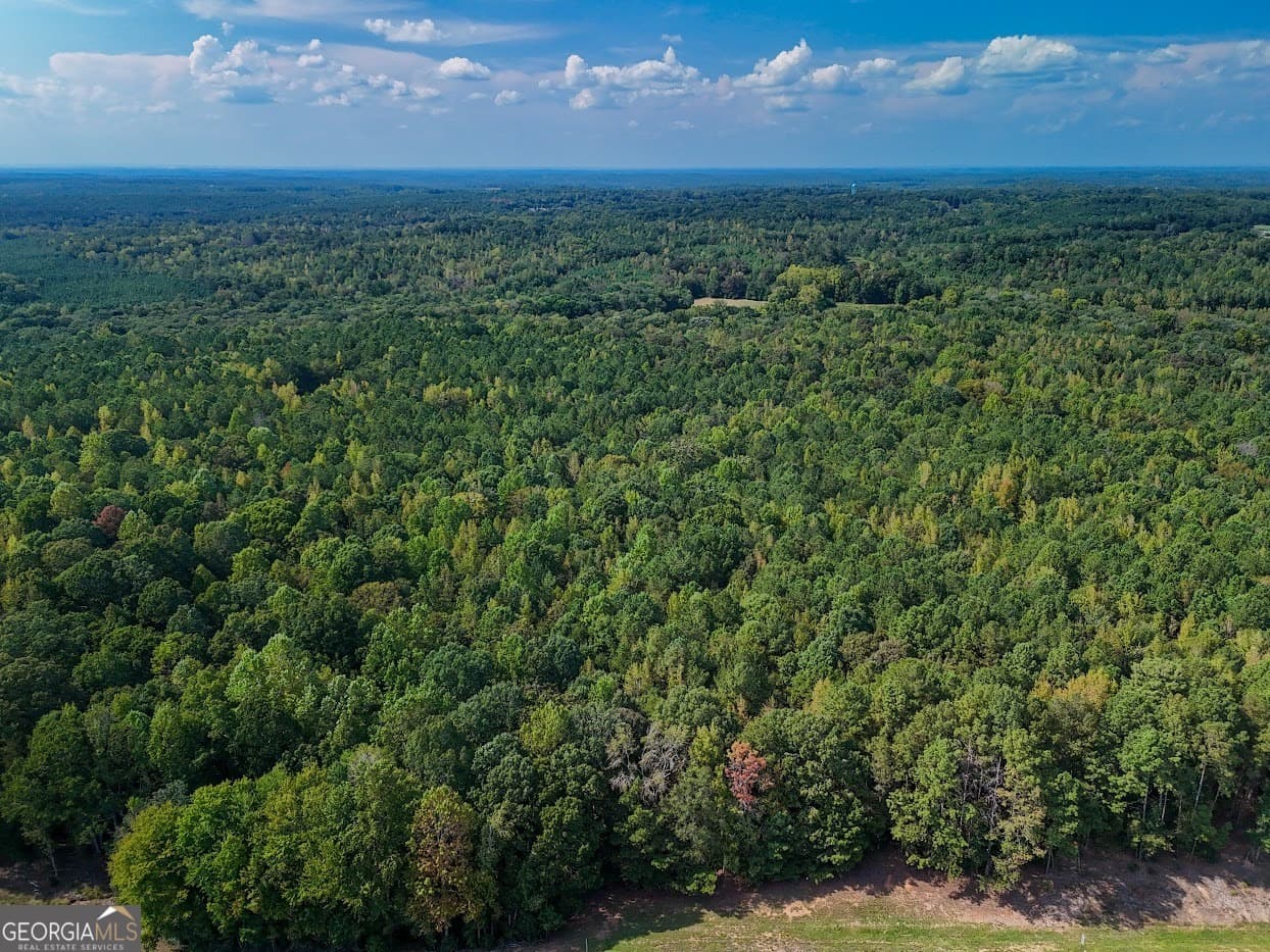 unimproved land for sale at 93.49 ACRES Forrest Road, Grantville, GA 30220 — photo 8
