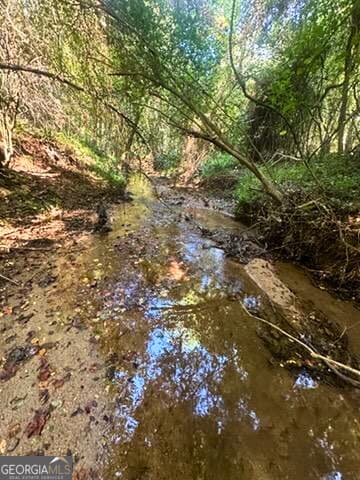 agriculture for sale at 2607 Hughes Road, Bowman, GA 30624 — photo 2